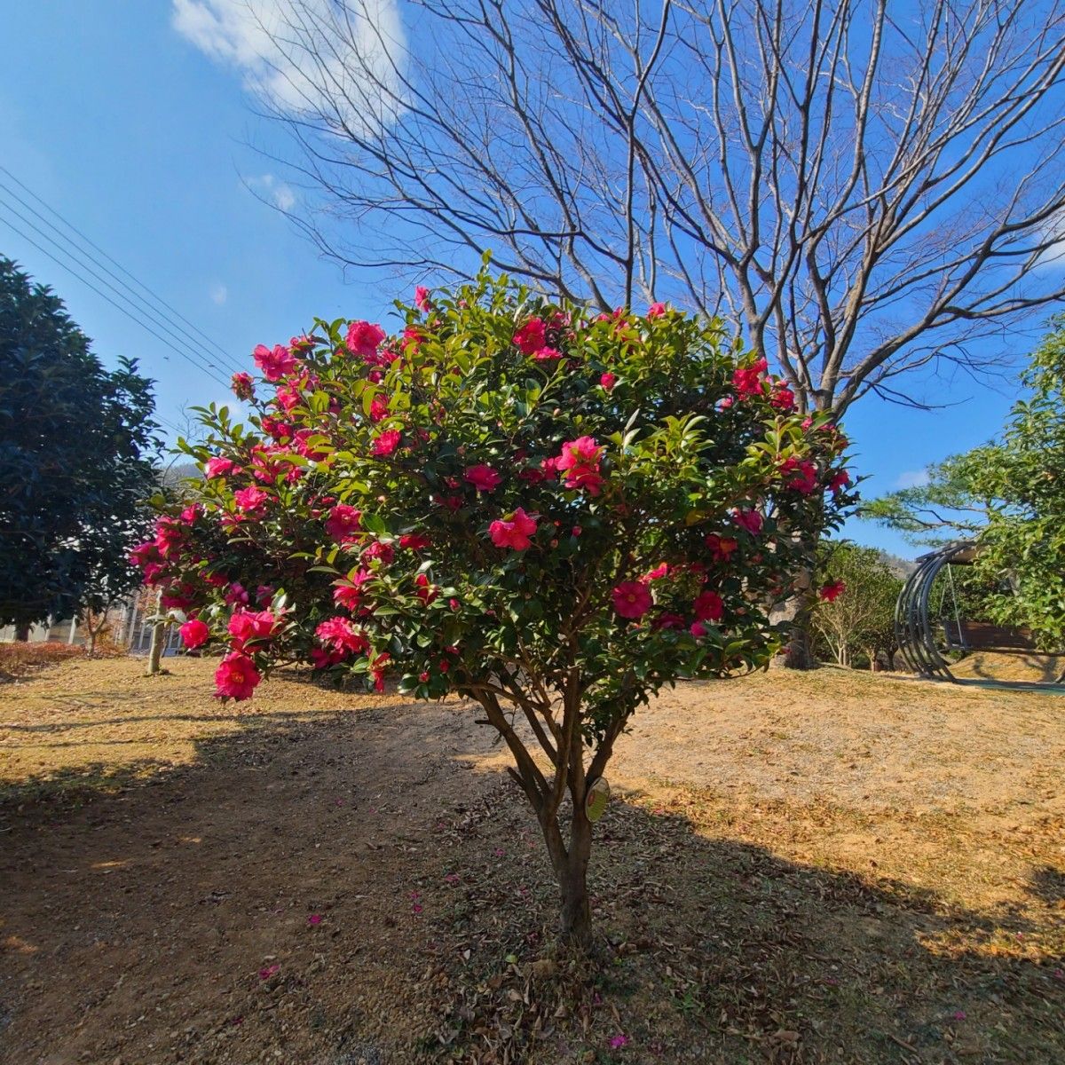 5b0309d6e54df944210d1140cee277de_1636965737_7538.jpg